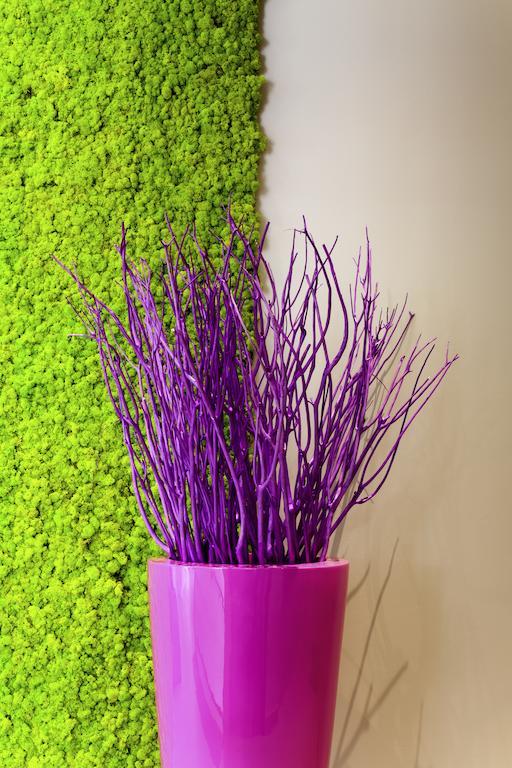 Ibis Styles Montbeliard Hotel Eksteriør billede
